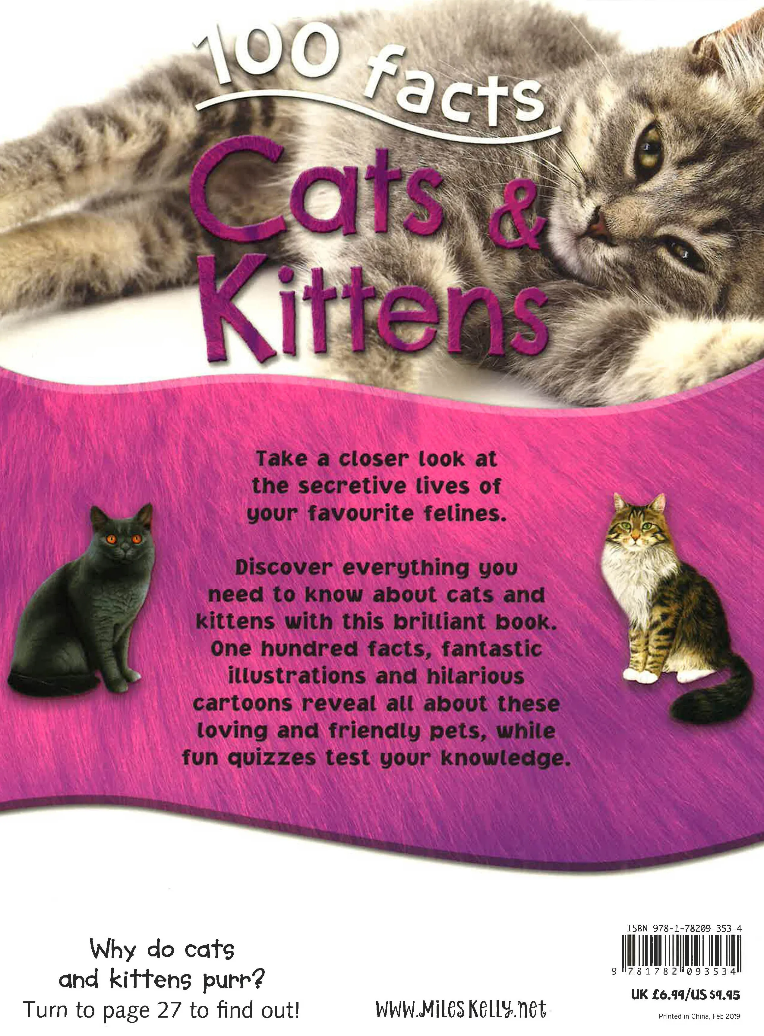 100 Facts Cats And Kittens