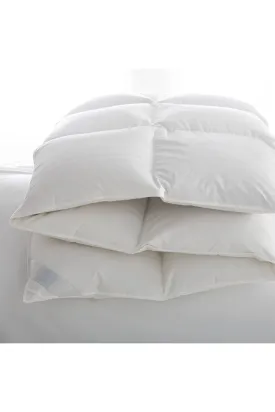 350TC Sateen Piping King Comforter | Scandia Lucerne