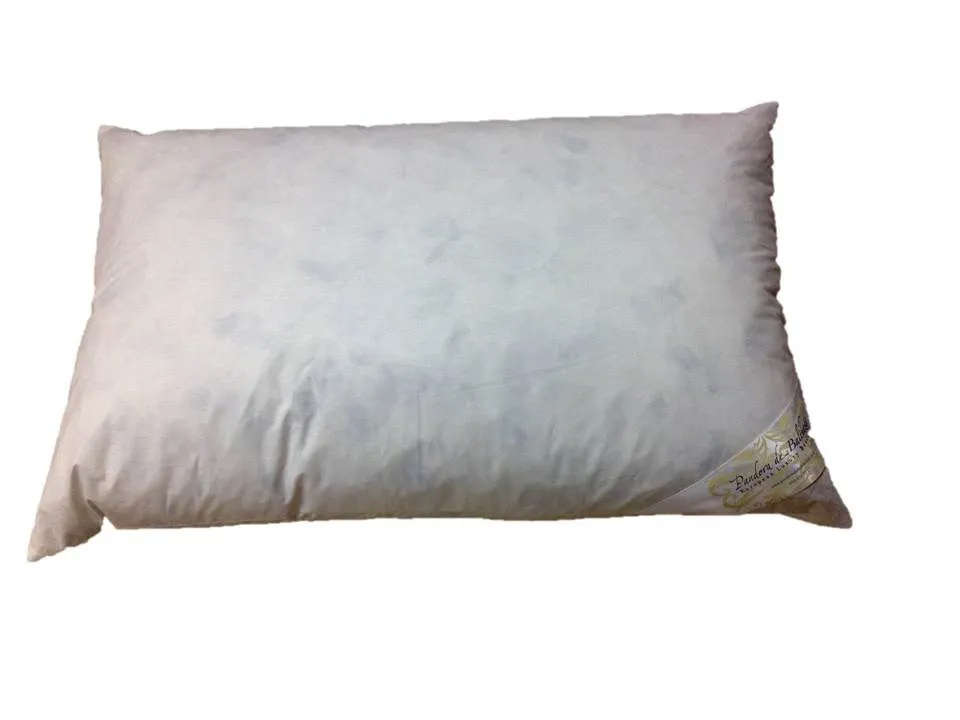 Feather Pillow Inserts