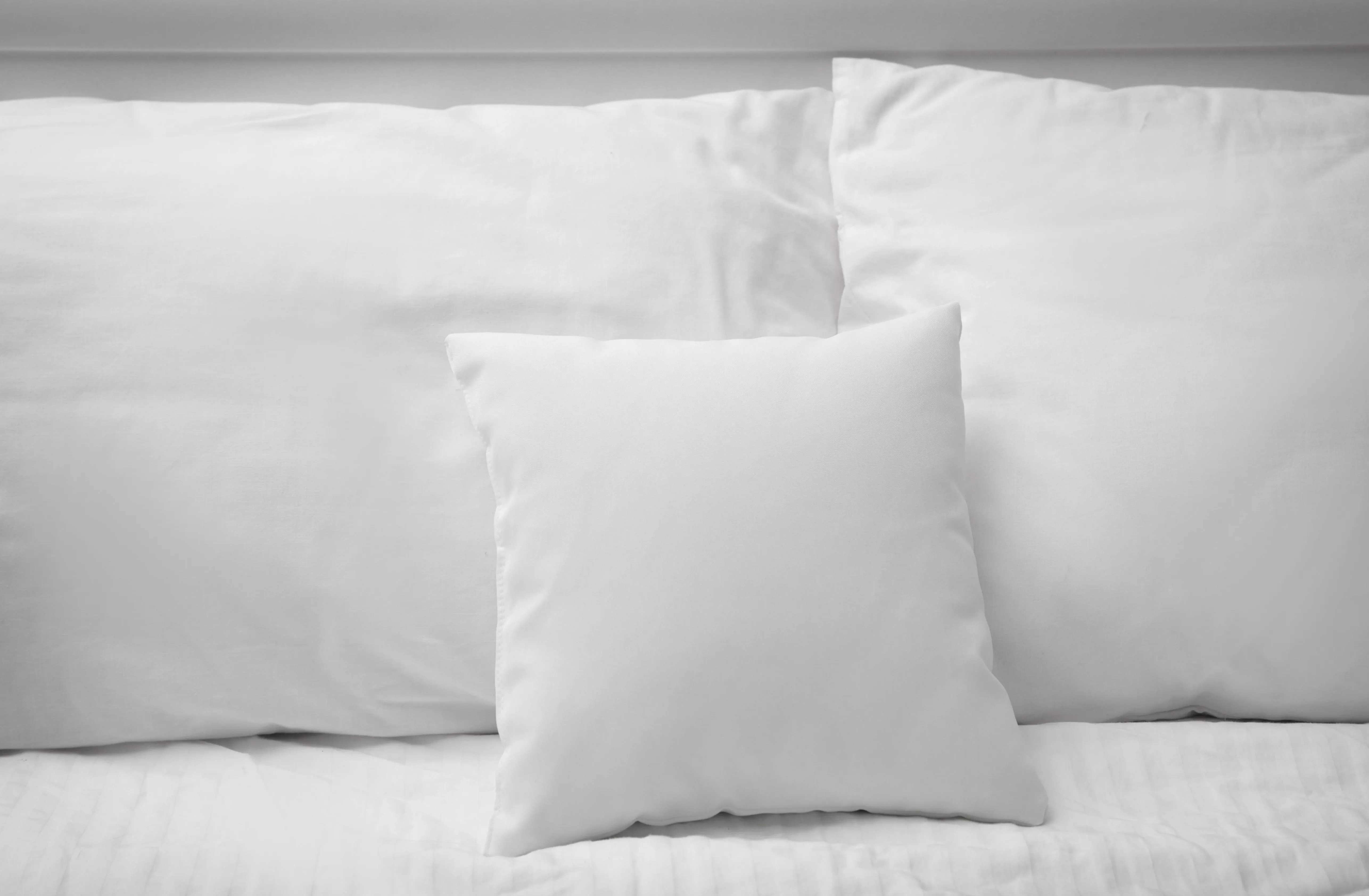 Pillowtex Pillow Insert | White Duck Feather & Down